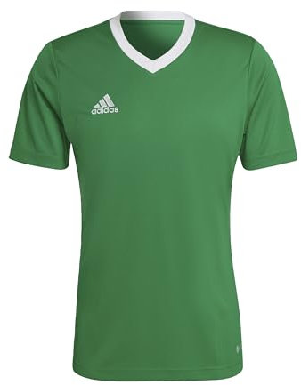 adidas Men's Entrada 22 Jersey, Team Green/White, M