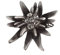 Breiter Hutanstecker Hutschmuck Brosche Edelweiß Strass ca. 5x5cm
