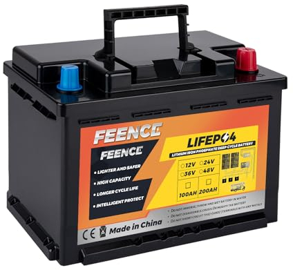 Feence LiFePO4 Batterie 12V 100Ah Mini Size, Lithium Batterie mit 100A BMS,15000 Zyklen & 10 Jahre Lebensdauer für Wohnmobil, RV, Marine, Energieversorgung, Off-Grid System