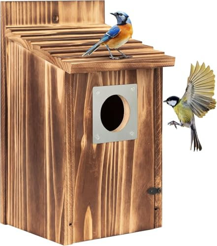Super Idee Vogelhäuschen Nistkasten für Vögel Amsel Rotkehlchen Vogelkasten zum Aufhängen Verbranntes Holz mit Nägeln zur Befestigung Nisthilfe mit 38 mm Metalleinflugloch