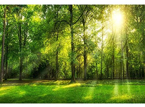 Aoihrraan 2,2x1,5m Primavera Bosque Paisaje Fondo Selva Selva Tropical Verde Árboles Césped Sol Naturaleza Paisaje Fotografía Fondo Boda Brotes Al Aire Libre Picnic Fiesta Decoración Foto Accesorios