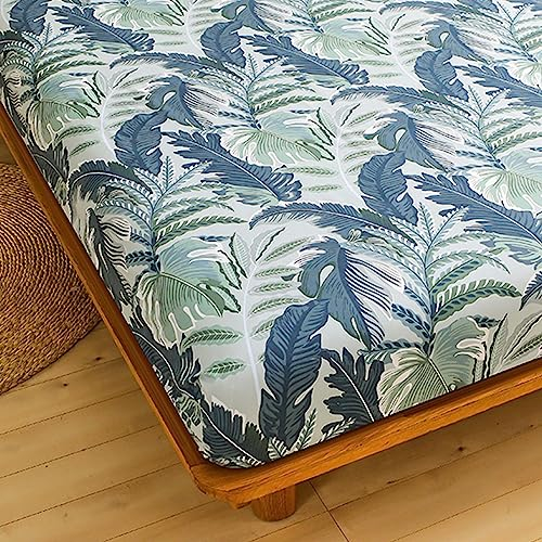 Odot Spannbettlaken für Boxspringbetten, Pflanze Muster Spannbetttücher Mikrofaser bis 25cm, Superweiches Spannbetttuch Bettlaken für Kinder Einzelbett Doppelbett (180x200x25cm,Bananenblatt)