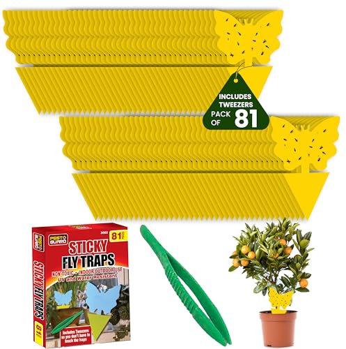 PEST GUARD Fruit Fly Traps Includes Tweezers 81 Pack Double Sided Fungus Gnat Sticky Catcher Fly Catcher for Indoor Outdoor Plants Fruits Non Toxic UV & Water Resistant (Pack of 81)