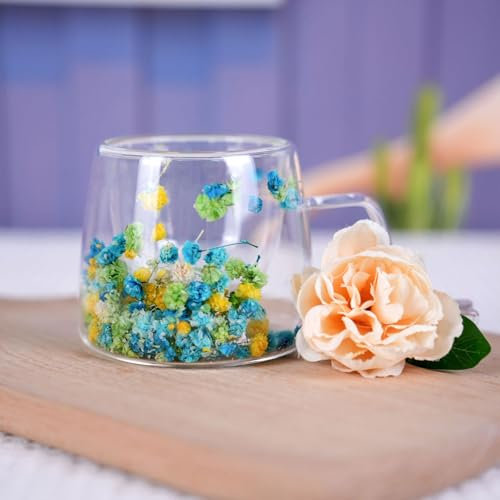 Richaa Fiori secchi isolati in vetro doppia parete tazza da caffè con manico 7 once Latte vetro espresso tazze di vetro borosilicato tazza da tè regali originali