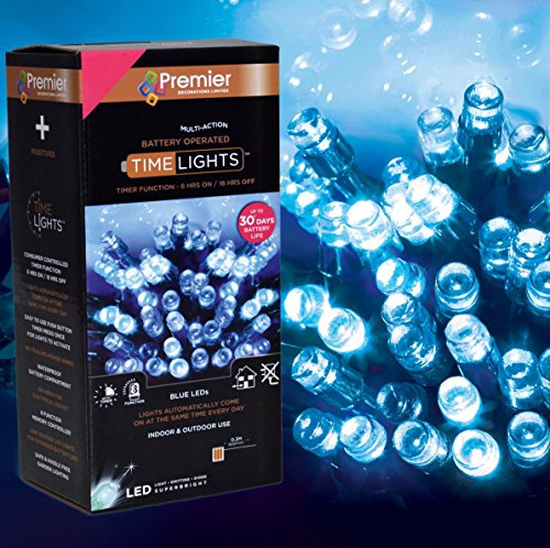 200 Battery Operated Multi Function Outdoor LED Timer Lights in Blue