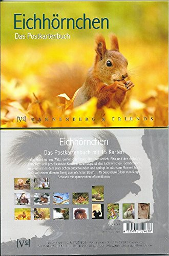Postkartenbuch * Eichhörnchen