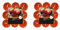 Teelichter Duft 2x18 Stück (36 Teelichter) - Brenndauer: 8 Std., Rußfrei - für Windlicht, Teelicht-Glas, Kerzenständer - Weihnachten, Geschenk, Deko, Hochzeit, Gastro (Orange - Duft: Apfel-Zimt)