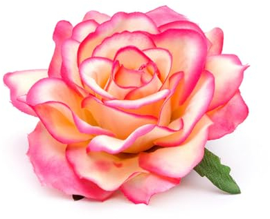 Wisafory 20 Stück Künstliche Blumenköpfe Rosen Blütenköpfe RosenKöpfe Kunst Blumen Rosen Köpfe Kunstblumen Rosen Seidenblumen Dekoration für Hochzeit Party DIY Basteln 11 cm Rosa-beige