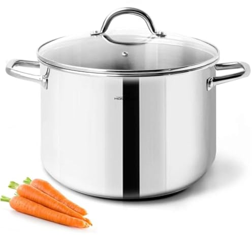 HOMICHEF Stock Pot 24.5 cm 5.7 Litre Nickel Free Stainless Steel - 5.7 Litre Pot with Lid and Handle - Soup Pot Small Cooking Pot