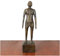 FHUILI Human Akupunktur Modell - Pure Kupfer Akupunktur Figur Human Körper Akupunkturpunkt Modell Klare Meridiane Chinesische Medizin Akupunktur Für Herbalist Arzt Studienmodell,Bronze