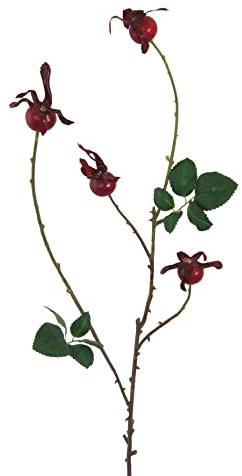 creativ home Künstlicher HAGEBUTTENZWEIG 86 cm. Beerenzweig, Hagebutte, Heckenrose, Kunstbblume dunkelrot ROT.