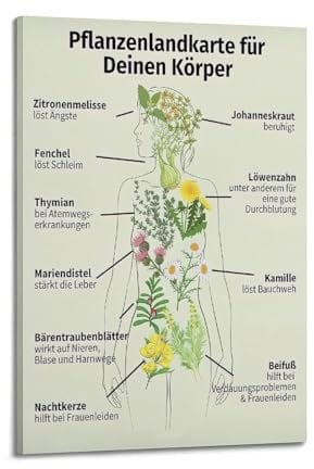 HNPBB Botany Poster Beneficial Plant Identification Poster Decorative Painting Canvas Wall Posters And Art Picture Print Modern Family Bedroom Decor Posters 16x24inch(40x60cm)