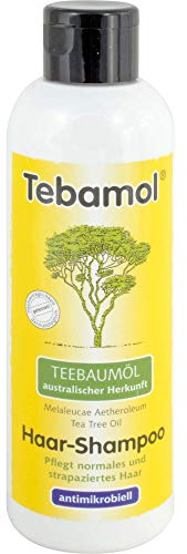 Teebaumöl Haarshampoo