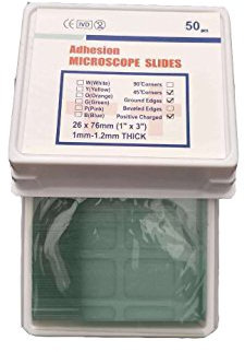 50 pcs Adhesion Microscope Slide Positively Charged (+)- 45° Corners Ground Edges