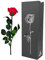Moos Zeit KUNST DER NATUR Rote Infinity Rose mit Stiel, echte konservierte Rose in Premium Geschenkbox - ewige Blume mit Rosenduft Haltbar bis zu 3 Jahre