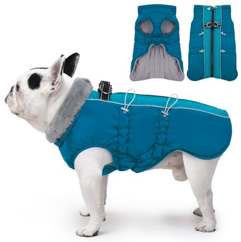 Katzinst Hunde Wintermantel, Ärmellose Wasserbeständig Hundejacke Reflektierend Hundejacke mit Bauchschutz Hundebekleidung Outfit Hundemantel für Mittelittelgroße Hunde, Französische Bulldogge, L