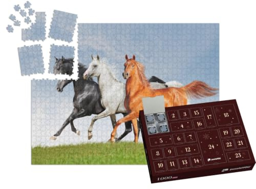 puzzleYOU: Puzzle-Adventskalender | „DREI Araber-Pferde“ – aus der Puzzle-Kollektion Pferde, Araber Pferde