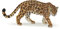 Papo- Figurine Jaguar - dès 3 Ans - La Vie Sauvage Animaux - Figurine réaliste - Jouet éducatif - Peint à la main - Collection - Décoration - Cadeau enfant - Découverte - Éveil - Jeu ludique - 50094