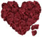 3000 Stück Rosenblätter, ASANMU Rosenblüten Rosenblätter Rosen Blätter Blüten Kunstblumen Seidenblumen für Hochzeit Deko, Valentinstag, Taufe, Geburtstag Dekoration, Romantische Atmosphäre (Dunkelrot)