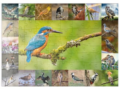 MyPuzzle Vögel des Jahres - Collage Nr.8 Hauptmotiv: Eisvogel - Premium 100 Teile Puzzle - MyPuzzle Sonderkollektion von Starnberger Spiele