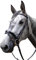 Brama West Trensenzaum Rosegold Pferde-Trense Rindsleder mit Strasssteinen in Rosegold, Gr. Full