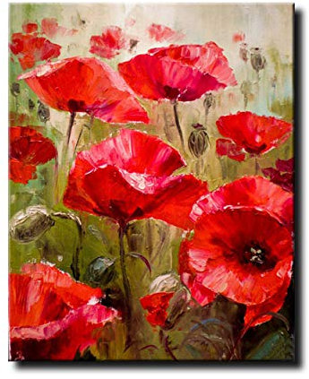 Shukqueen Peindre par Nombre Kits, Cadeau de Peinture à l'huile de Bricolage numérique pour Enfants Adultes, Décoration de Maison, Fleur Rouge,16x20 Pouces, sans Cadre