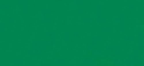 HDK-VERSAND 1 Stück Wachsplatten Uni Grösse 200 x 100 x 0,5 mm (69 Mint)