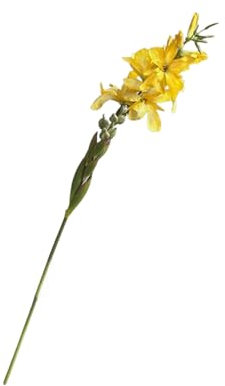 Künstliche Gladiolen, 96,5 cm lang, Seidengladiolen mit Stiel, künstliche Blumen für Blumenarrangement und Bodenvasen-Dekoration, 6 Stück