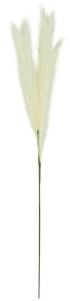 Ligne Déco - Plumeau Artificiel Ivoire - Lot de 3 - Décoratif - Élégant - Tendance Déco - Fleurs Artificielles - Durable - Entretien Facile - Plante Artificielle Intérieur - Plastique - 90cm