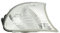 Blinkleuchte Blinker weiß rechts für BMW E46 Coupe 1999-2006
