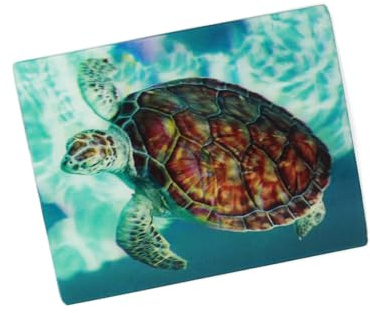 Cornelißen 3D Postkarte Meeresschildkröte Tier Motiv Wackel Hologramm Karte Souvenir 11x 16 cm