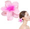Clip per artigli di fiori hawaiani | Clip per artigli grandi, Fermagli per capelli, per capelli colorati, regali di festa forma di per donne con capi Generico | 1 unità (Confezione da 1)