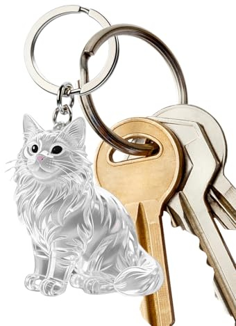 Generisch Katzenhaar Schlüsselanhänger Set -Tierhaar Anhänger Mit Transparenter Hülle | Tragbares Andenken Für Katzenhaar Und Hundehaar, Perfekte Emotionale Präsentidee Zum Gedenken An Haustiere