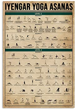 Iyengar Yoga Asanas Lover,12 * 8 Inches Vintage Funny Poster Wall Decor Art Gift Retro Picture Metal Sign