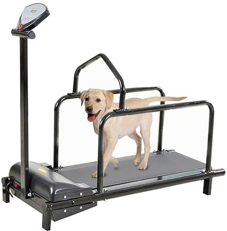 Tapis roulant per cani di taglia grande/media, rampa regolabile per cani, tapis roulant con contapassi per esercizi e vita sana e in forma per animali domestici, utilizzato in casa fino a 80 kg
