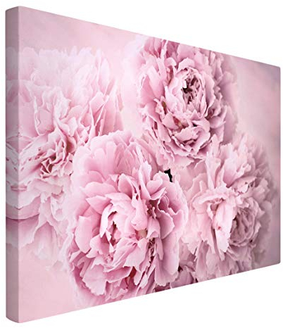 Bilderwelten Leinwandbild Rosa Pfingstrosen Querformat Kunstdruck auf Leinwand 40 x 60 cm