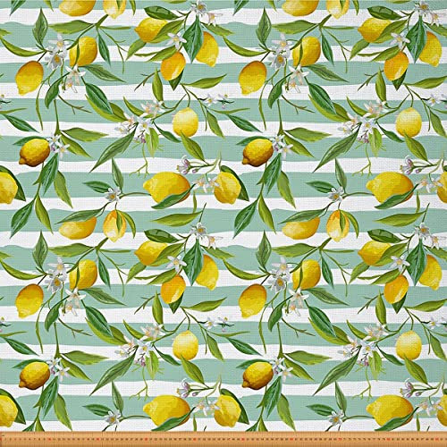 Zitronenstoff Meterware Weißer Blumen Polsterstoff für Stühle Tropischer Obst Dekorationsstoff Grün Gestreifter Stoff für Drinnen und Draußen Stoff Im Hawaii Sommerurlaubsstil 92 x 150 (HxB)