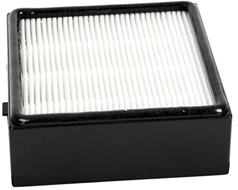 Filtro de aspiradora Spares2go H13 Hepa para Nilfisk King 500, GM510, GM516, GM520, GM530, GM540 y GM580