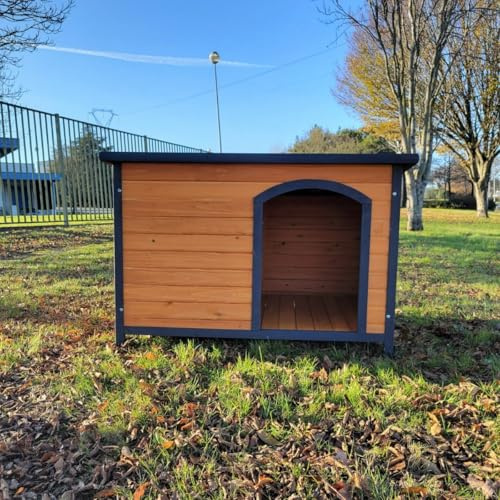 Hundehütte Flachdach Natura Größe XL