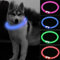 CCWW LED Leuchthalsband für Hunde und Katzen, USB Aufladbar, Längenverstellbar, DREI Beleuchtungsmodi, Nylon, Blau, Alle Rassengrößen, Hund, Katze