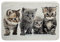 Loussiesd Süße Katze Badematte 40x60cm für Schlafzimmer Schön Saugfähig rutschfest Badezimmerteppich Katzenliebhaber Plüsch Wohnzimmer Badvorleger Karikatur Kitten Drucken Zottelig Badteppiche