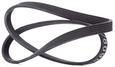 RIDEX Correa trapecial poli V 305P0063 Golf IV Schrägheck (1J1) 1195mm 21,4mm
