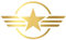 Finest Folia 2er Set Autoaufkleber Army Stern Sticker Folie für Auto Motorrad Anhänger Aufkleber US Star Motiv 4 selbstklebend wetterfest Kfz Zubehör (Gold, 20 x 20 cm K171)