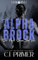 Alpha Brock: A Grumpy Sunshine Wolf Shifter Romance (Six-Pack Series Book Four) (English Edition)
