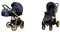 BabyLux® Bambimo Kinderwagen Set 2 in 1 - Color Lux - incl. Babywanne, Buggy Sportsitz - Kinderwagenset - Kombikinderwagen mit Wickeltasche, Regenschutz, Moskitonetz, Cupholder usw.