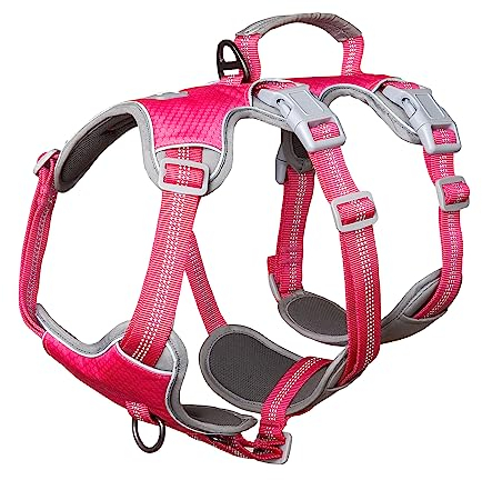 Huntboo Hunde Sicherheitsgeschirr, Hundegeschirr kleine Hunde, Reflektierendes Geschirr mit Gepolstertem Griff, Wasserdicht, Verstellbare Weste für Kleine Hunde Zum Gassi Gehen (Rosenrot,S)