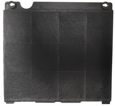 FAGOR - Filtro de carbón 989990382 210 x 230 x 30 – 72 x 3405