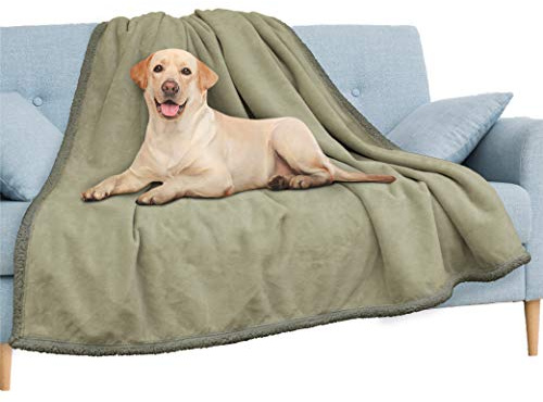 PAVILIA Wasserdichte Decke für Couch, Sofa, wasserdichte Hundedecke für große Hunde, Welpen, Katzen, Haustierdeckenschutz, Plüsch, weich, warm, flauschig, Sherpa-Decke, Bettüberwurf, Taupe, 60 x 80 cm