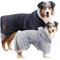 Wahre Tierliebe® Hundebademantel waschbar - Trockenes Fell in nur wenigen Minuten - Hundehandtuch als kuscheliger Kälteschutz. Für Große, mittelgroße und kleine Hunde, Bademantel Hund - L
