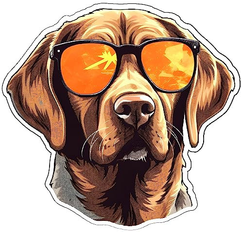 Labrador Retriever mit Sonnenbrille Aufkleber Autoaufkleber für Motorrad Fahrrad Roller oder Auto Sticker Fahrrad MTB Mountainbike Rennrad Hund Dog (50x48cm Labrador Retriever mit Sonnenb)